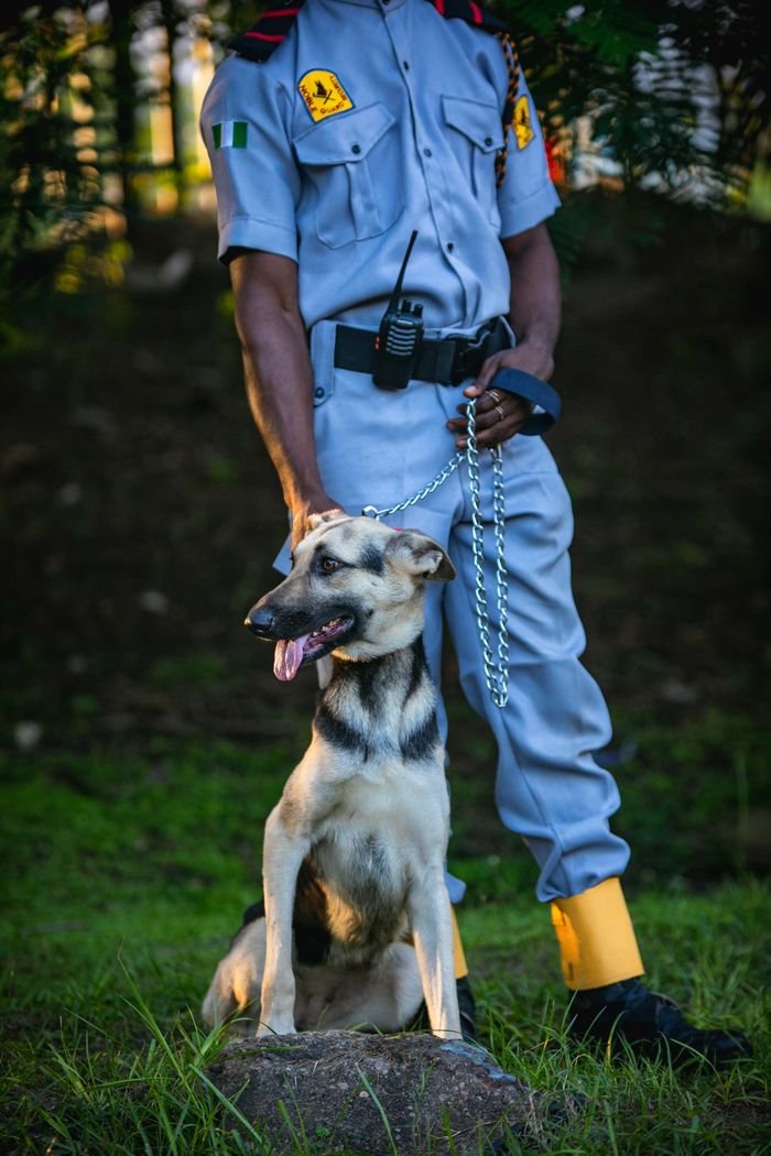 A security officer stands with a German Shepherd dog in a lush outdoor setting in Lagos, Nigeria.